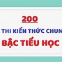 Những Câu Hỏi Về Thuế Quan Mỹ Mới Nhất